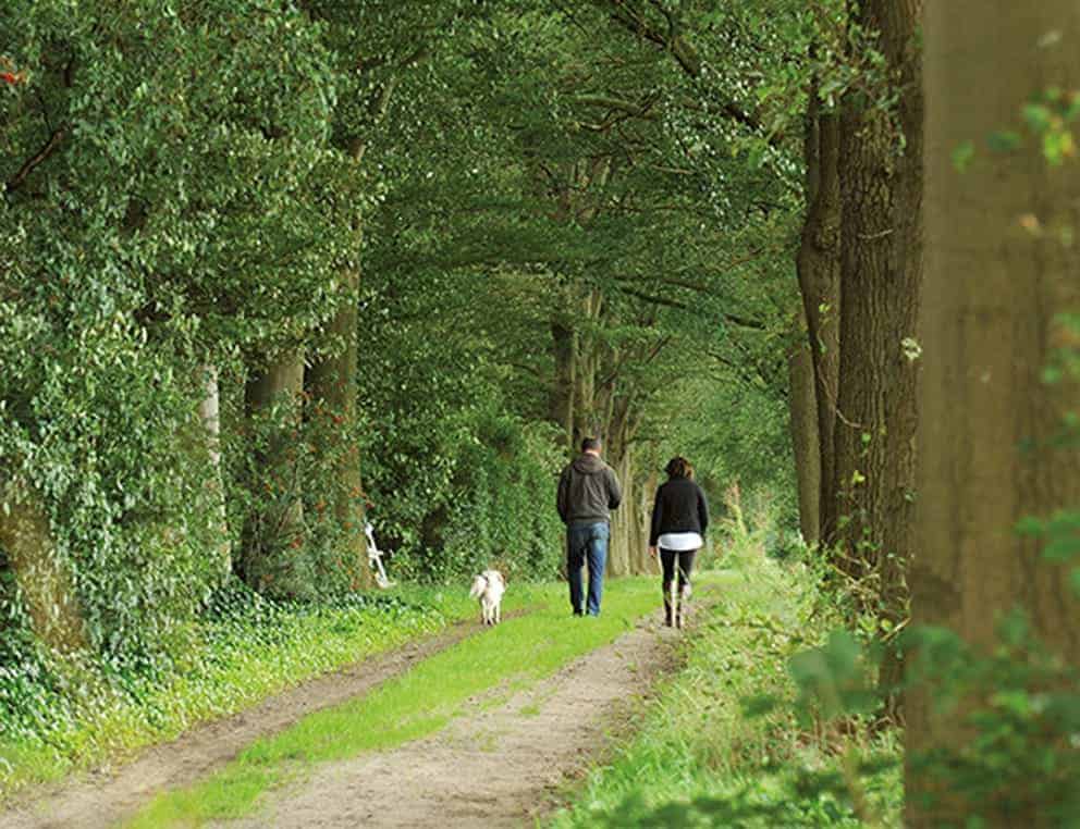 Ommetje Leemkuilen, Gilze