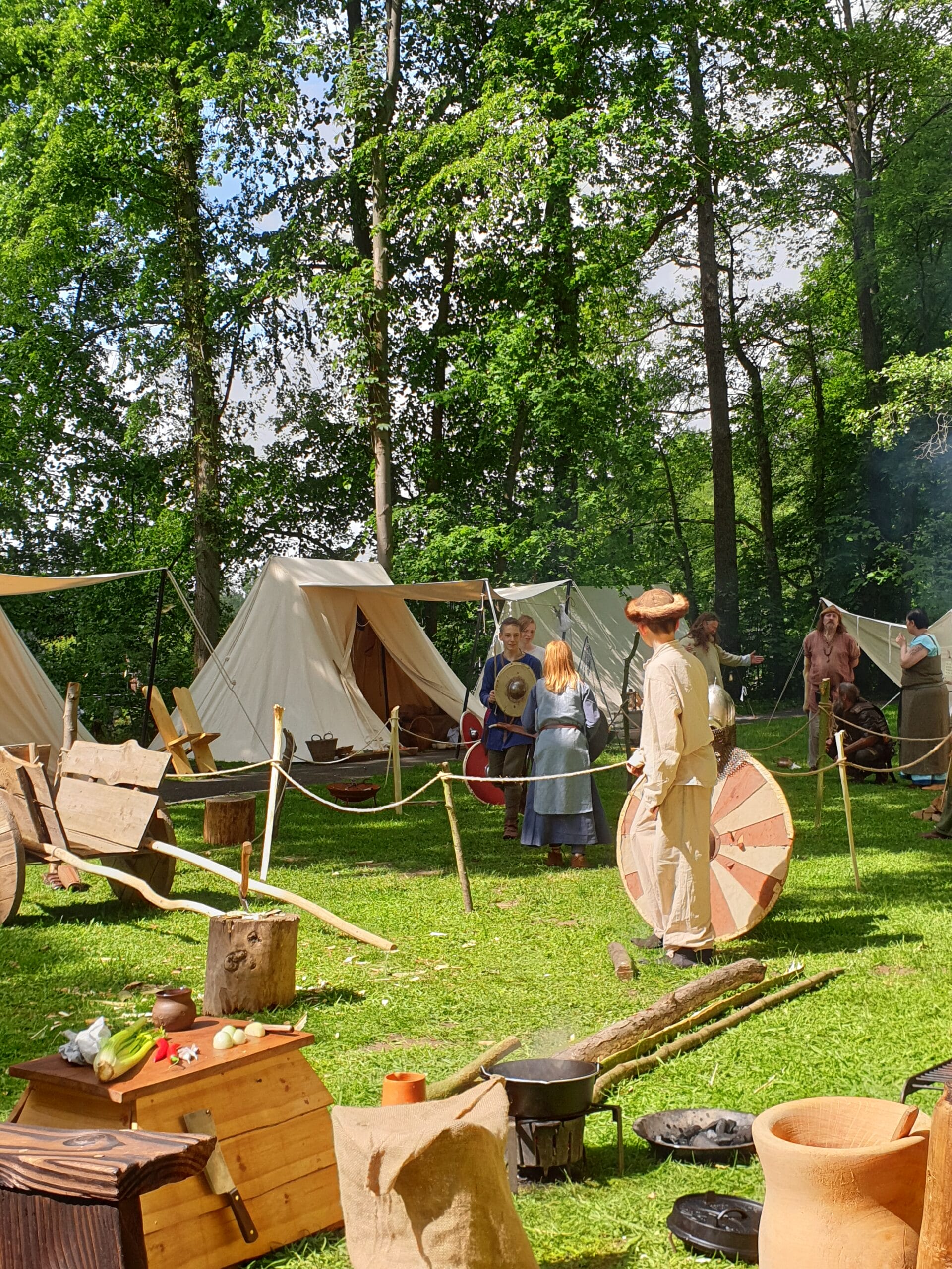Vikingen