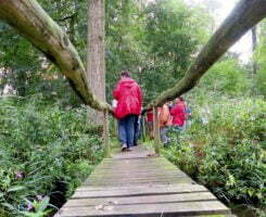 Het Merkske is een van de fraaiste beken van Nederland en Vlaanderen.