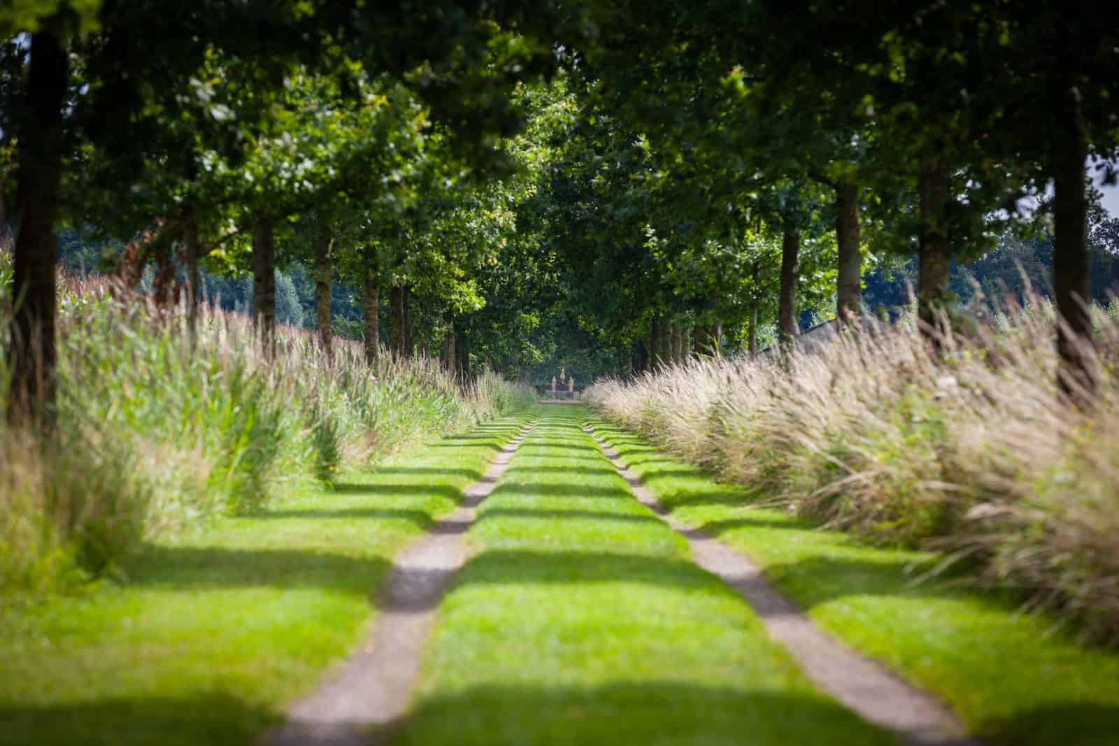 wandeling tilburg