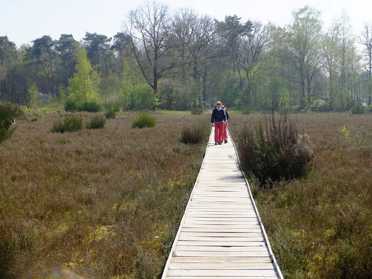 Vlonderpad_Galderse_Heide_DSCF1170