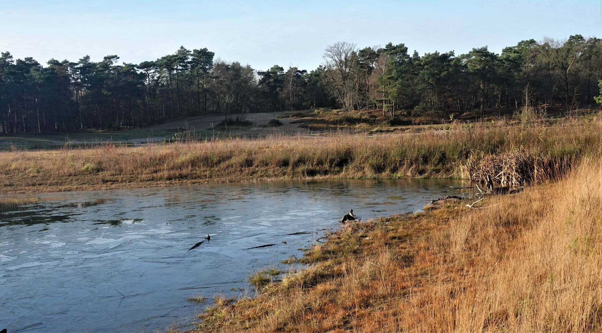 IVN Natuurwandeling