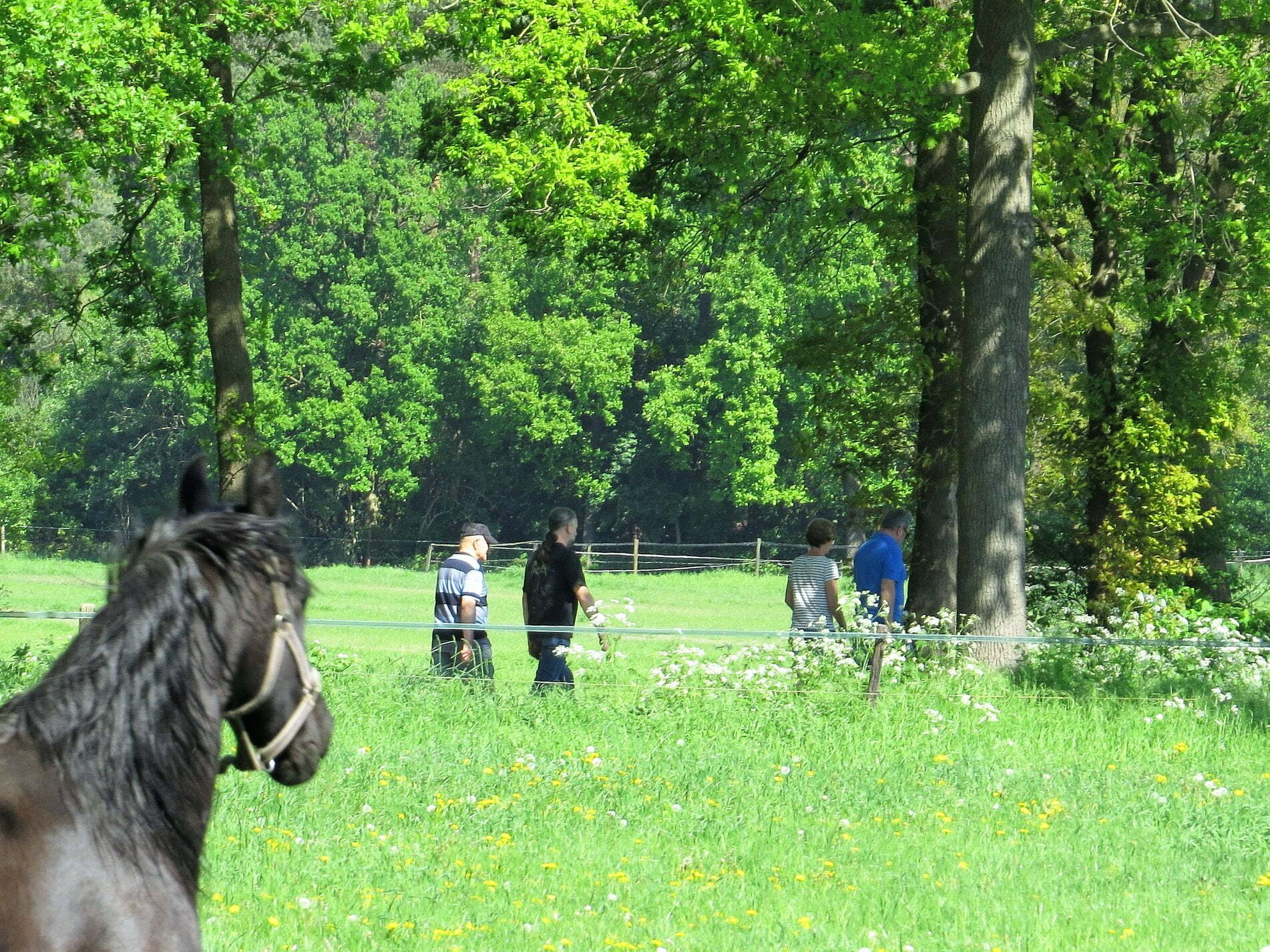 zomer puzzeltocht