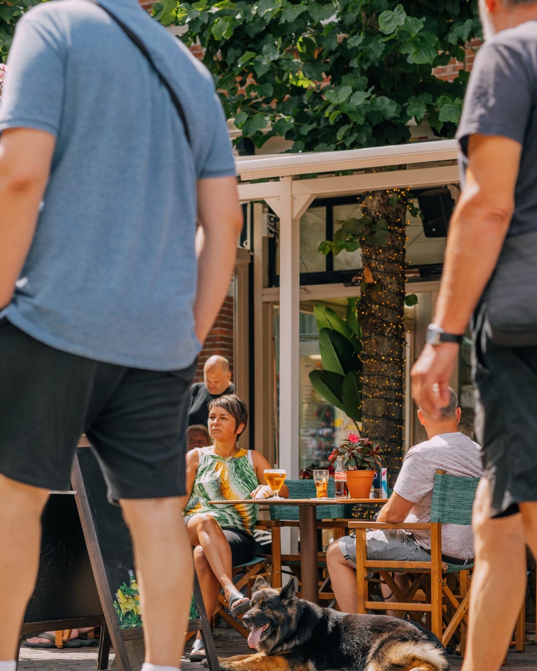 Zomerzoektocht Vlaanderen