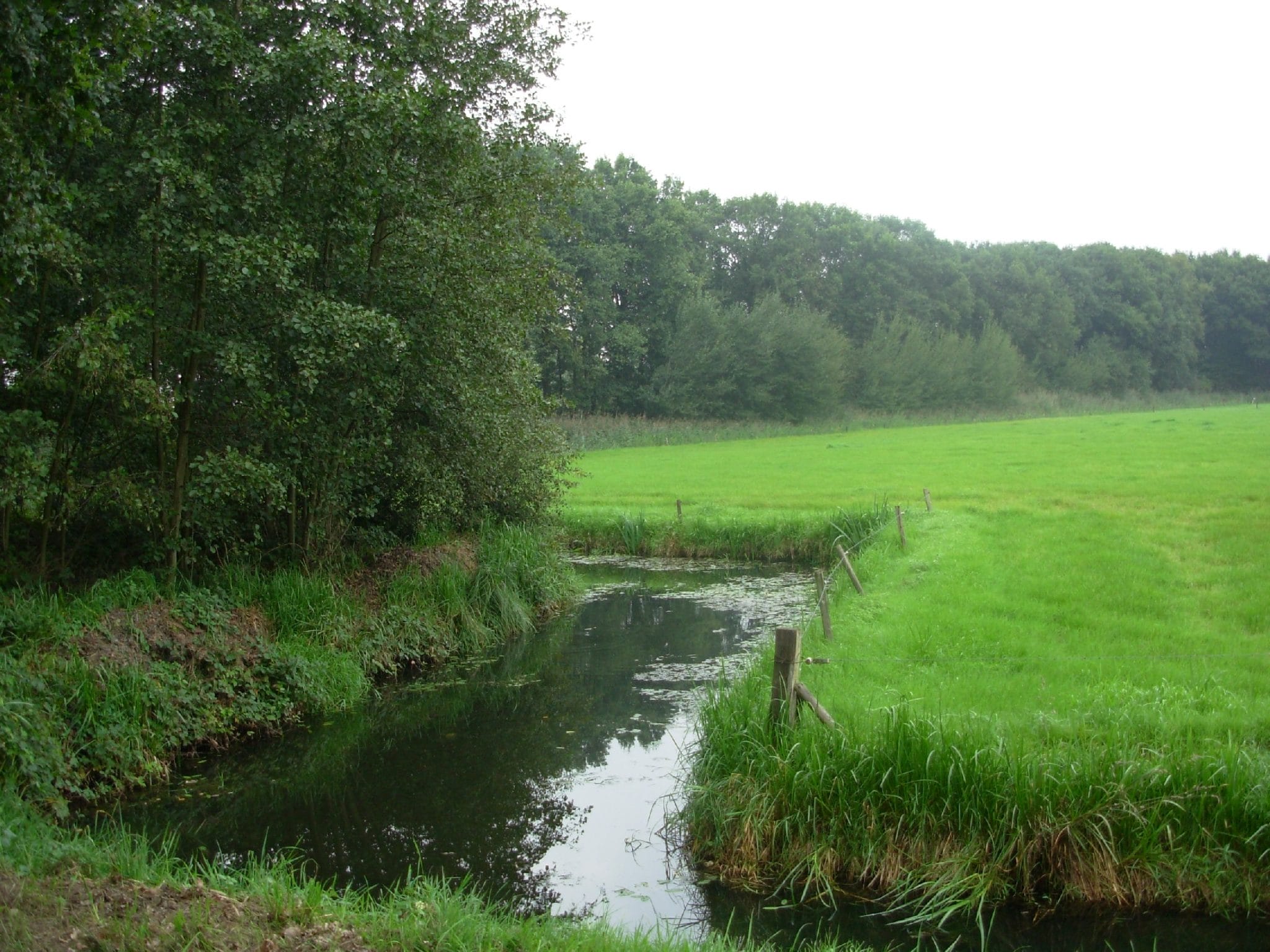 Landschapswandeling 16-7-23