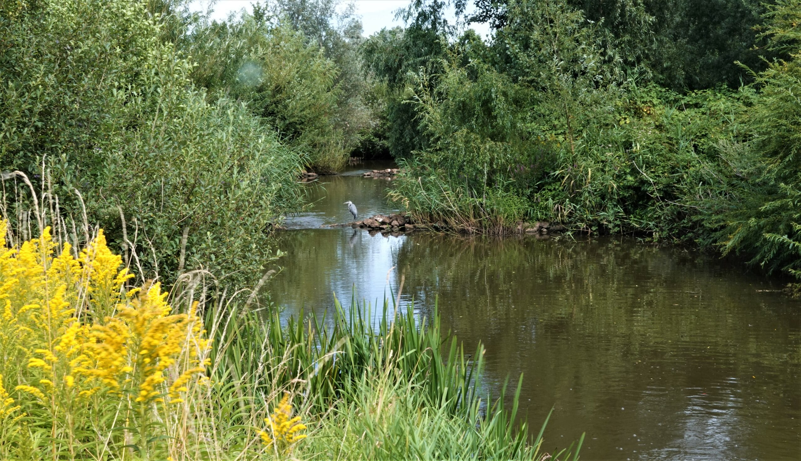 Zaartpark