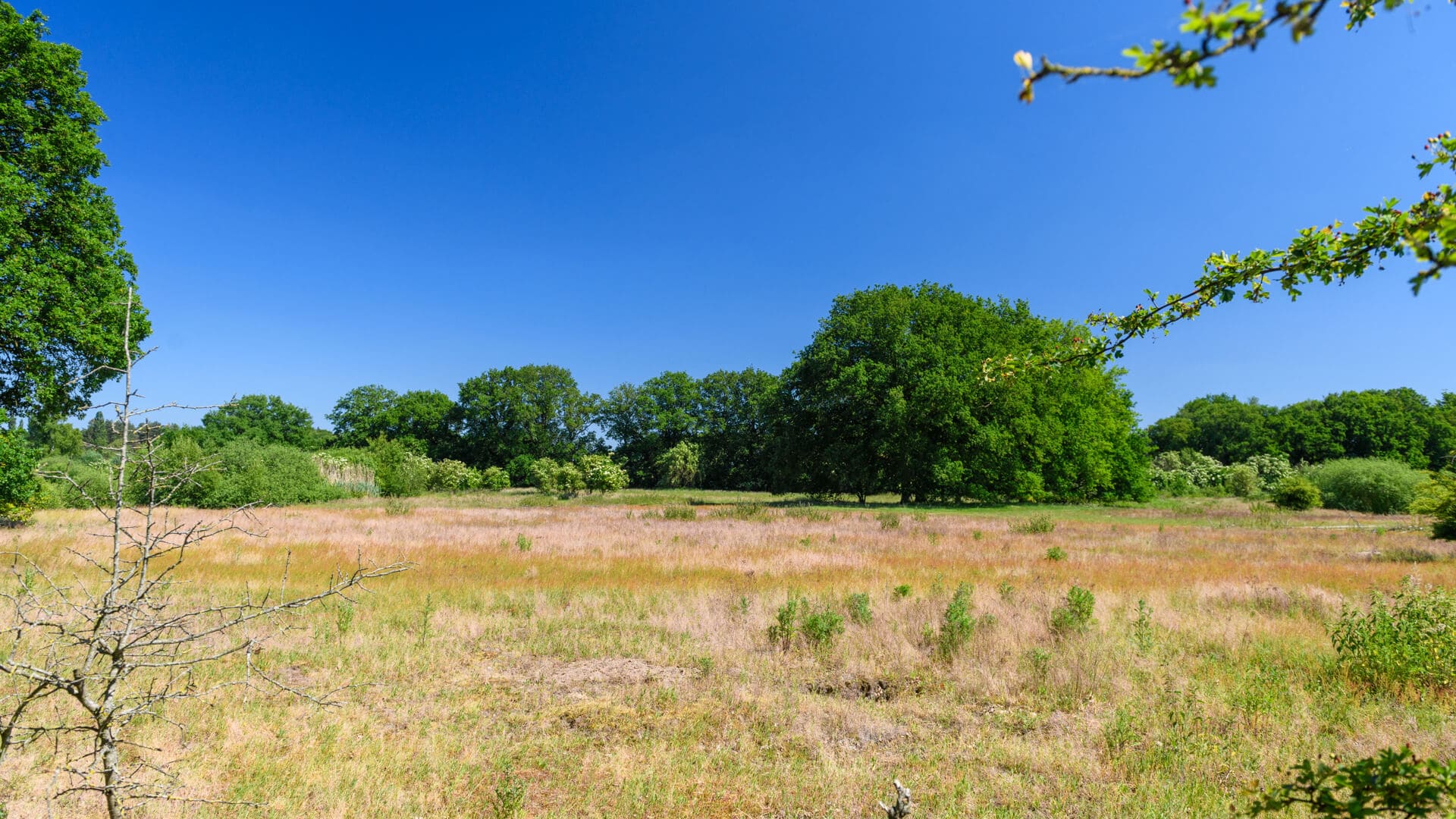 SB013-Kaaistoep-13062021-JostijnLigtvoetFotografie-17