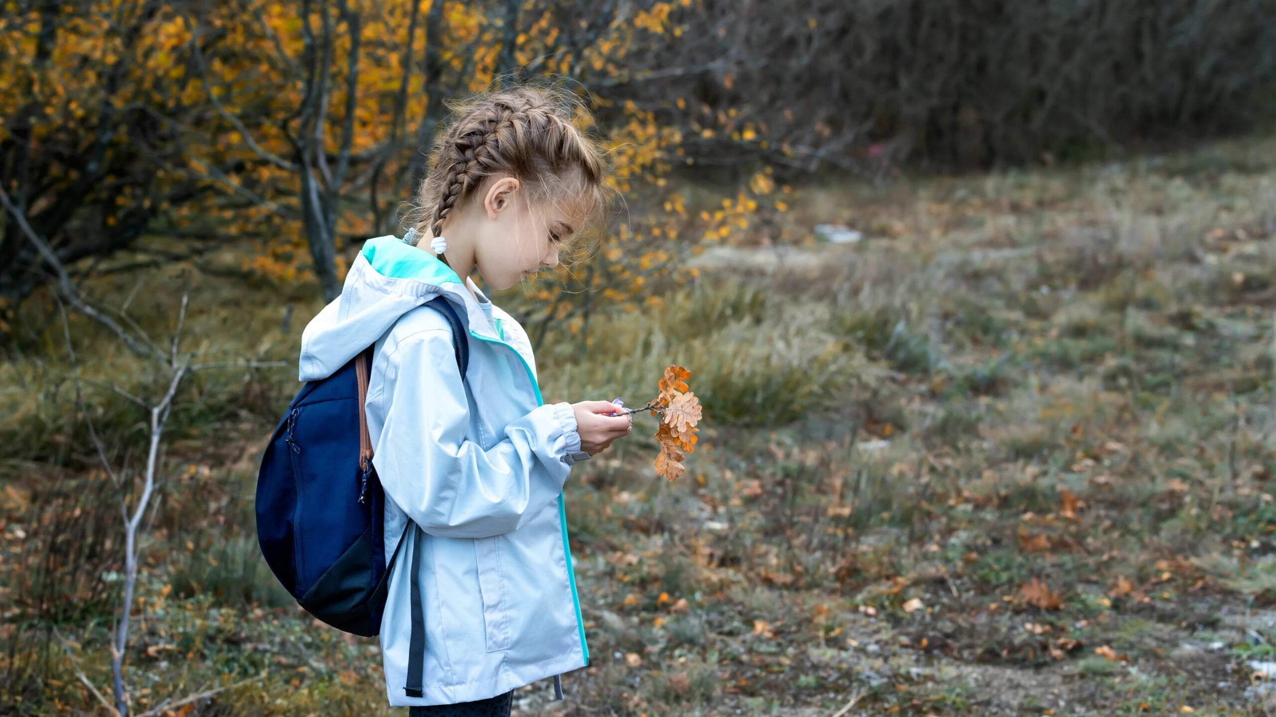 Lovely little girl enjoys the beauty of a colorful autumn forest. Autumn mood.