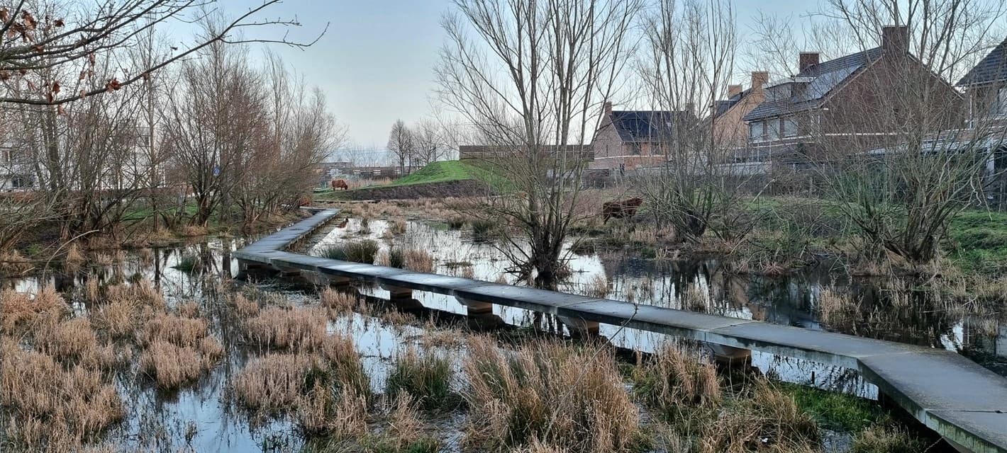 hart van brabant