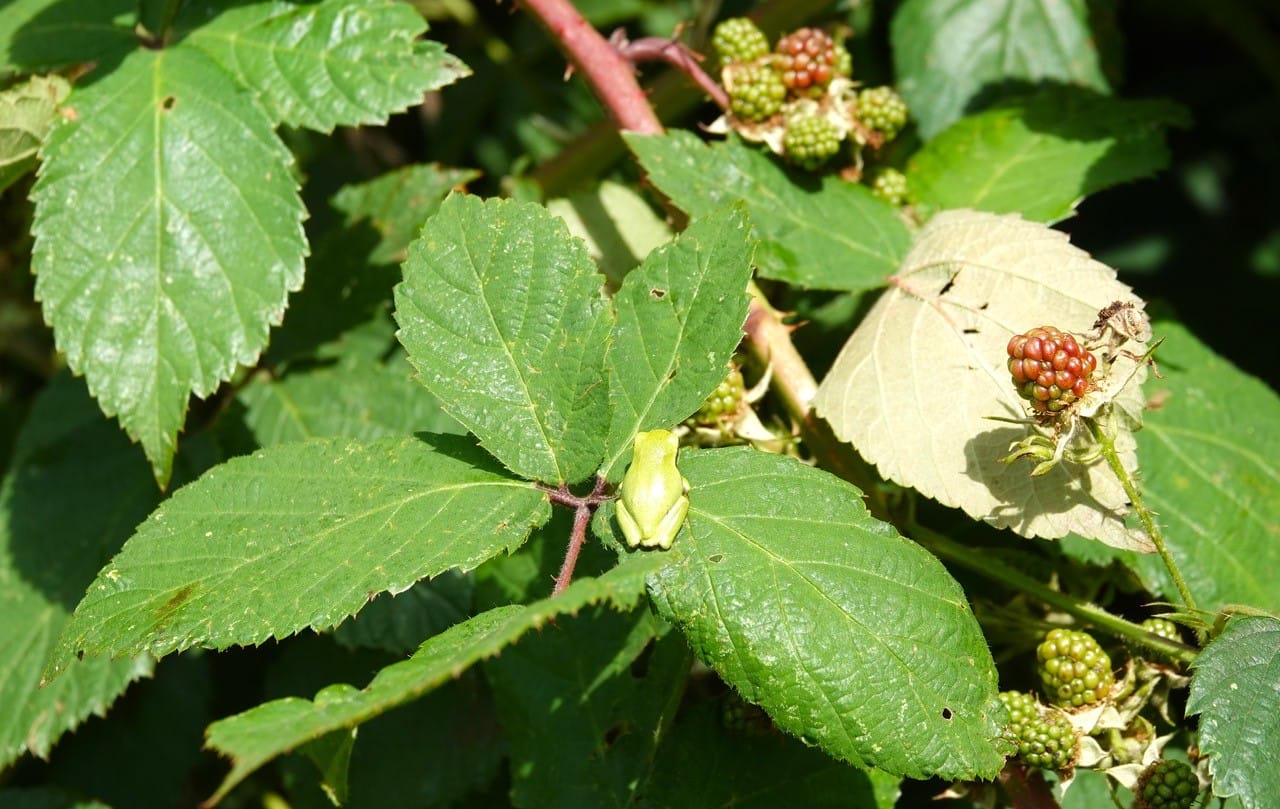 thumbnail_DSC07123