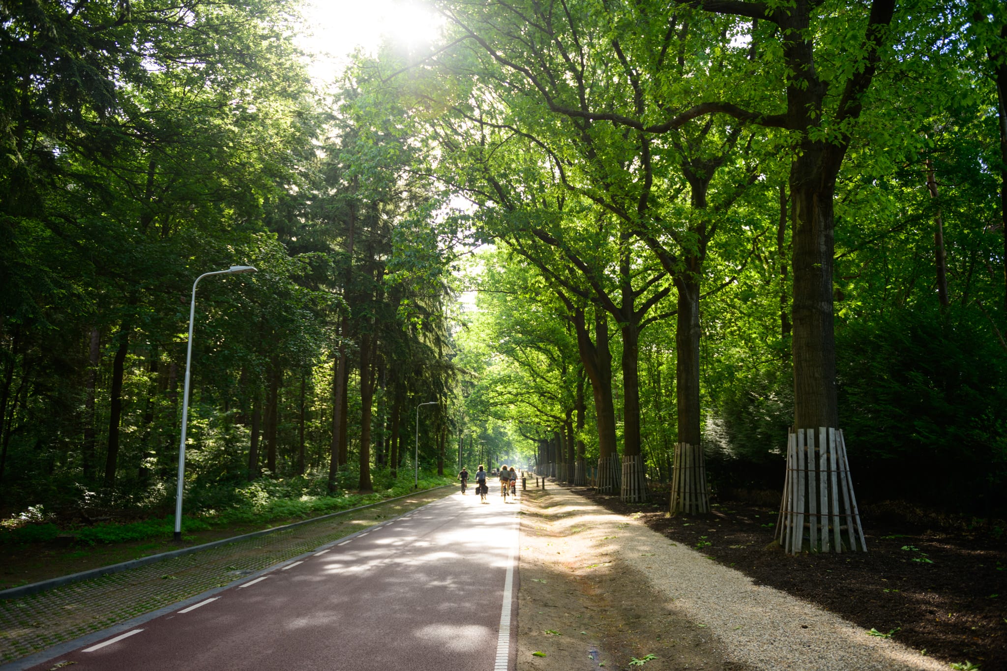 (Fietstocht) Stadsbos013-ZONdag-22052022-JostijnLigtvoetFotografie-222