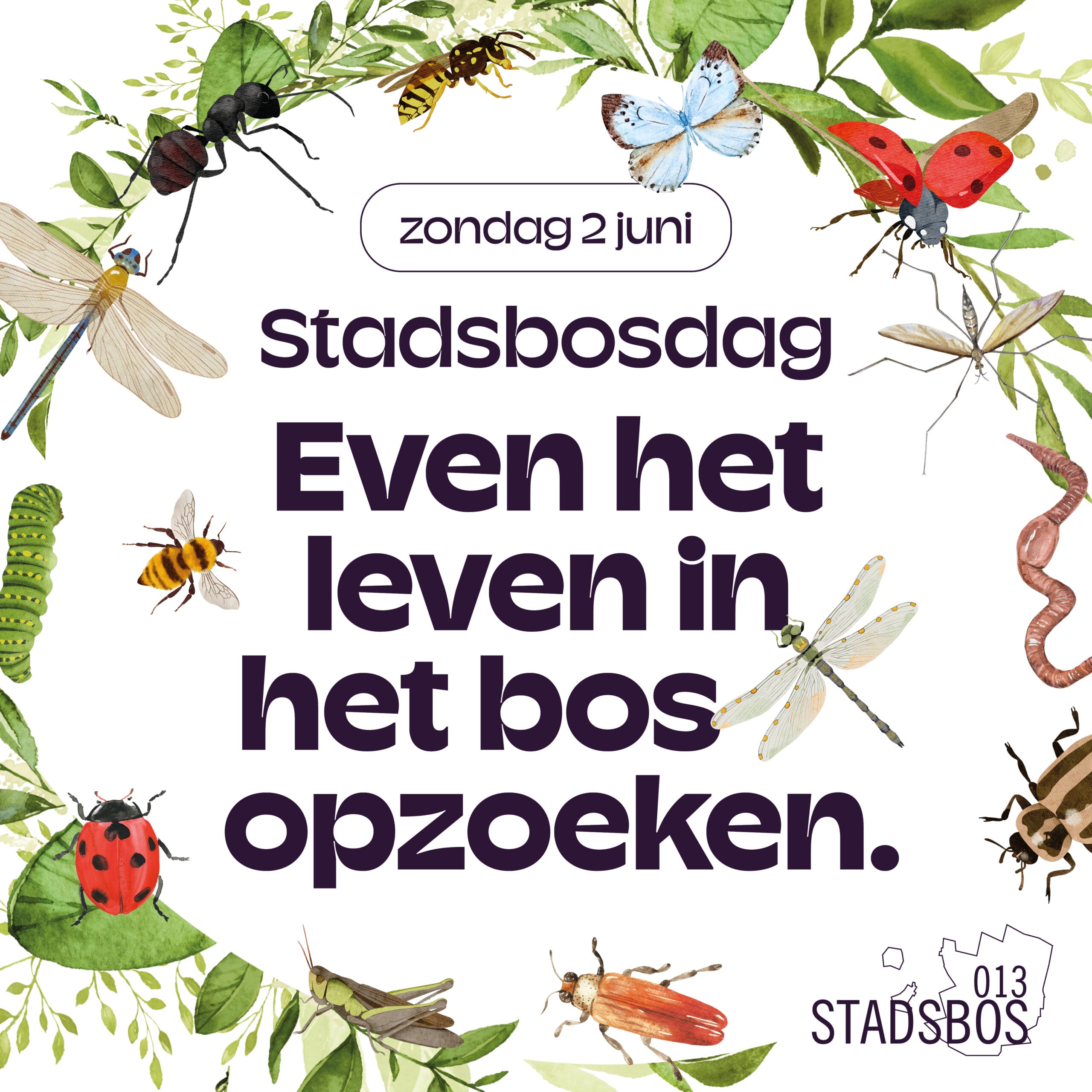 SB013_stadsbosdag2024_square