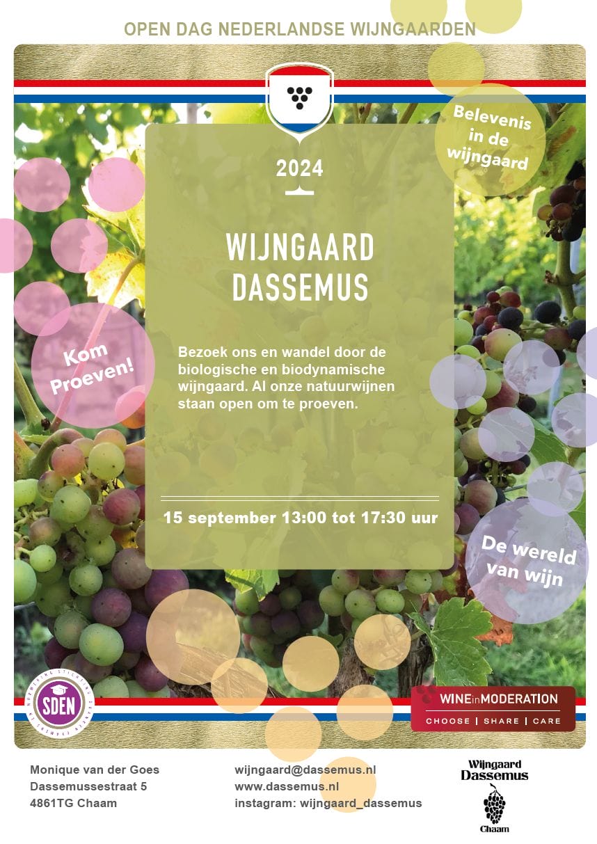 wijngaard